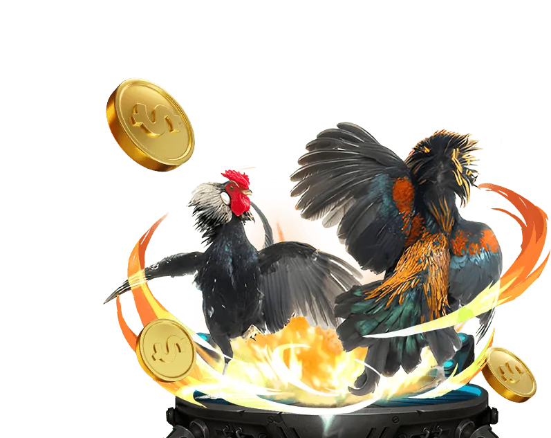 Hệ thống thanh toán nhanh chóng và an toàn