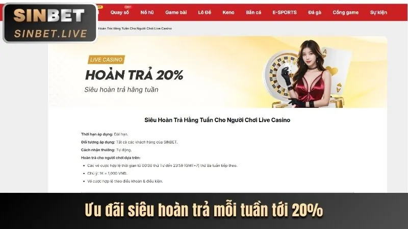 Trải nghiệm casino trực tuyến với dealer người thật